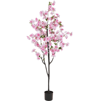 Een hoge kunstmatige kersenbloesemboom met donkere takken en levendige roze bloemen, geplaatst in een kleine zwarte pot tegen een effen witte achtergrond.