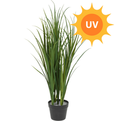 Kunst Grasplant UV