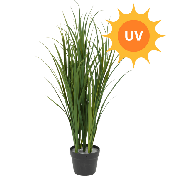 Kunst Grasplant UV