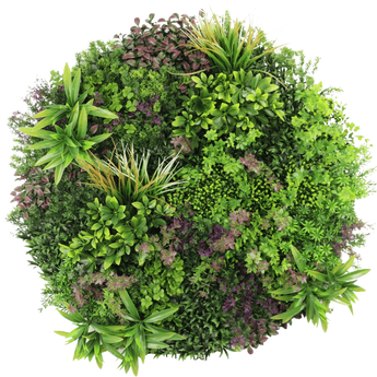 Een cirkelvormige opstelling van verschillende groene en paarse bladplanten, van bovenaf gezien, waardoor een weelderig, levendig patroon op een witte achtergrond ontstaat.
