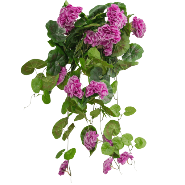 Kunst Hangbloemen