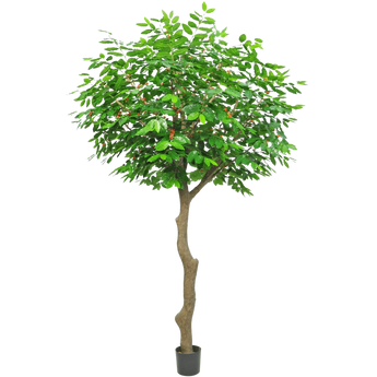 Een hoge kunstboom met een gedraaide bruine stam en dichte, heldergroene bladeren in een kleine zwarte pot, tegen een effen witte achtergrond.