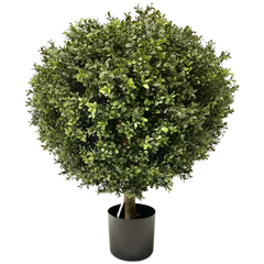 Kunst Buxus & Conifeer