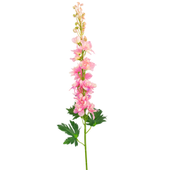 Kunst Delphinium