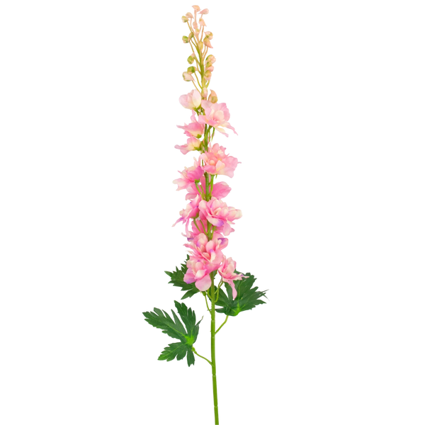 Kunst Delphinium