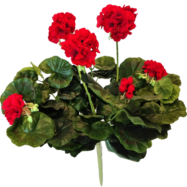 Kunst Geranium