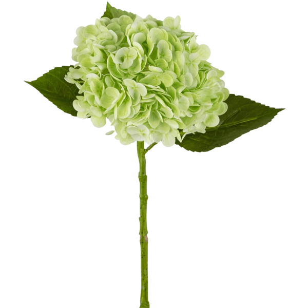 Kunst Hortensia