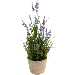 Kunst Lavendel