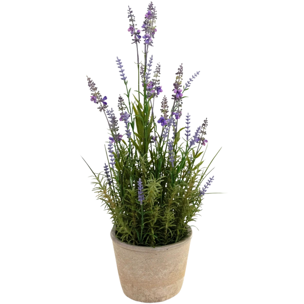 Kunst Lavendel