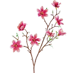 Kunst Magnolia