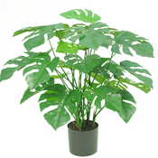 Kunst Monstera & Philo