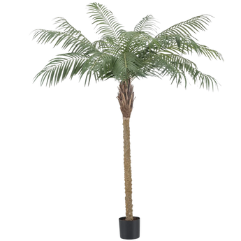 Een hoge kunstmatige palmboom met een bruine stam en groene gevederde bladeren, geplaatst in een kleine zwarte pot tegen een effen witte achtergrond.