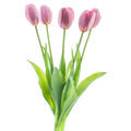 Kunst Tulpen