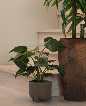 Een kleine kunstplant in pot met brede groene bladeren staat naast een Kunstplant Alocasia Cucullata 53 cm met grote hartvormige bladeren, beide geplaatst bij een lichte houten trap in een moderne binnenruimte.