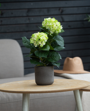 De Kunstplant Hortensia Groen 35 cm met lichtgroene bloemen staat op een ronde houten tafel. Daarachter staan een beige stoel en een bruine hoed op een gestreept doek, tegen een donkere houten lambrisering.
