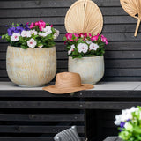 Twee grote keramische potten met een Kunstbloem-petunia UV 25 cm donkerroze, met levendige roze bloemen, staan op een tafel tegen een donkere houten muur. Op de tafel ligt een strohoed en boven de bloemen hangen gedroogde palmbladeren aan de muur.