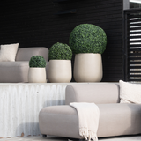 Een moderne patio heeft beige zitkussens, een crèmekleurige deken en vier Kunstplant Buxus romeinse stijl UV D30cm vormsnoei planten in lichtgekleurde potten tegen een muur met donker houten panelen.