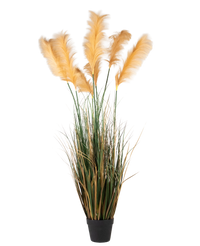 Herbe de Pampa artificielle 170 cm ignifuge