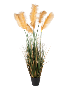 Een Kunst Pampasgras van 200 cm, een brandvertragende plant met lange, groene bladeren en hoge, vederachtige, lichtgouden pluimen, afgebeeld tegen een effen witte achtergrond.
