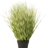 De Kunst Grasplant Zebra 55 cm heeft lange, dunne groene en witte bonte grasachtige bladeren in een eenvoudige zwarte pot, tegen een effen witte achtergrond.