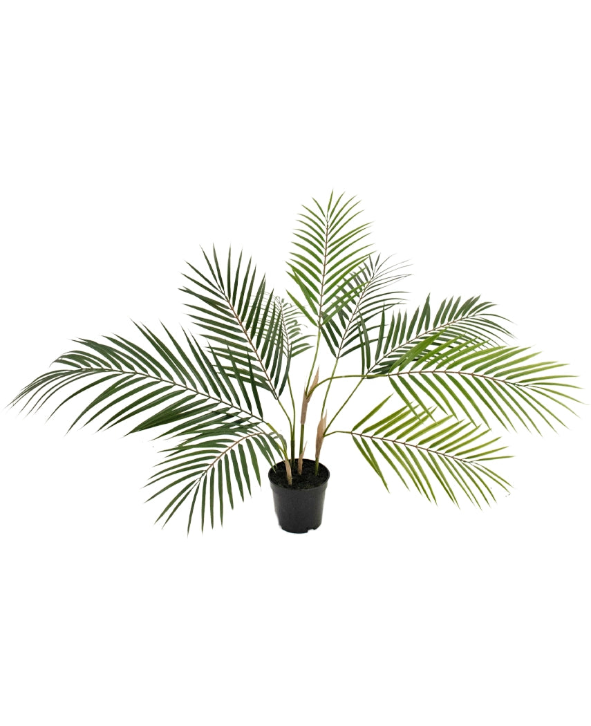 Kunstpalm Chamaedorea 83 cm