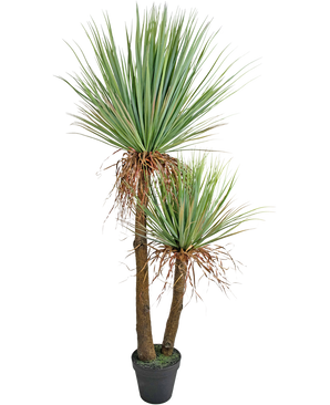 Plante artificielle Yucca Deluxe 153 cm