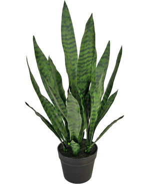 Plante artificielle Sansevieria Zeylanica 71 cm