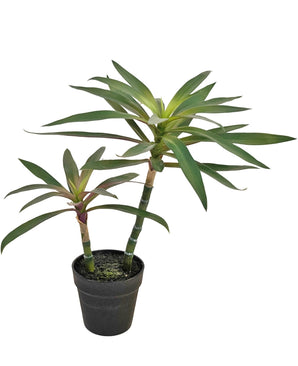 Plante artificielle Yucca gigantea 53 cm