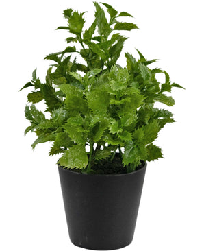 Plante artificielle Perilla 25 cm