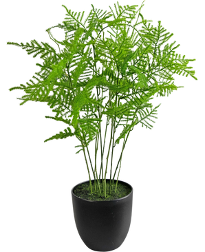 Plante artificielle Asperges 59 cm