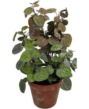 Plante artificielle Peperomia 35 cm