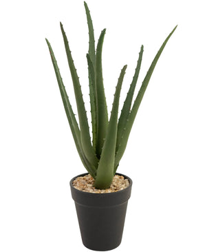 Plante artificielle Aloe Vera 33 cm