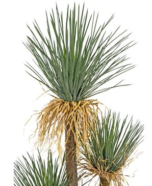 Plante artificielle Yucca de luxe 182 cm