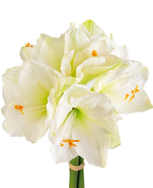 Fleur artificielle Amaryllis blanche 36 cm