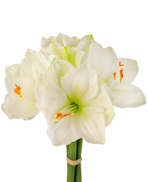 Fleur artificielle Amaryllis blanche 36 cm