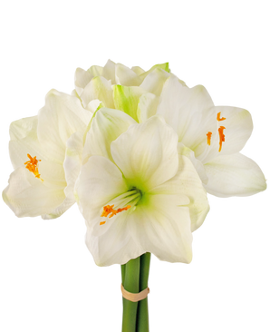 Fleur artificielle Amaryllis blanche 36 cm