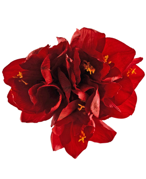 Kunstbloem Amaryllis rood 36 cm