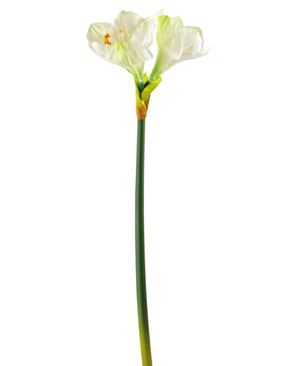 Fleur artificielle Amaryllis blanche 66 cm