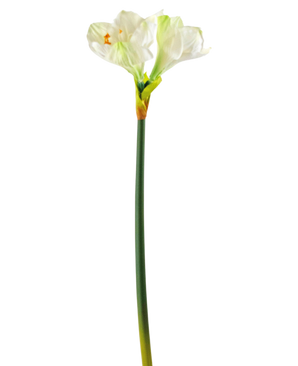 Kunstbloem Amaryllis wit 66 cm