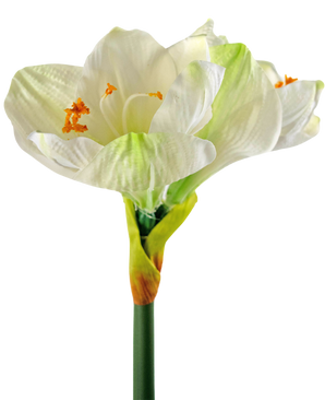 Fleur artificielle Amaryllis blanche 66 cm