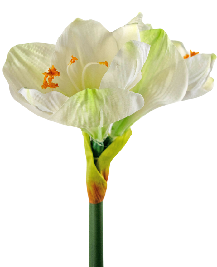 Fleur artificielle Amaryllis blanche 66 cm