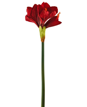 Fleur artificielle Amaryllis rouge 66 cm