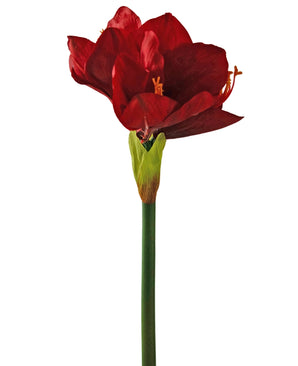 Fleur artificielle Amaryllis rouge 66 cm