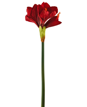 Kunstbloem Amaryllis rood 66 cm