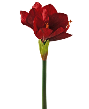 Fleur artificielle Amaryllis rouge 66 cm