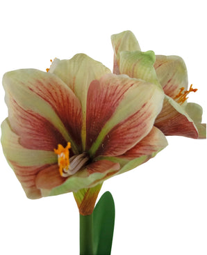 Fleur artificielle Amaryllis Rouge/jaune 48 cm