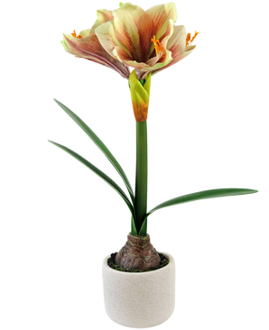 Kunstbloem Amaryllis Rood/geel 48 cm