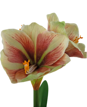 Fleur artificielle Amaryllis Rouge/jaune 48 cm