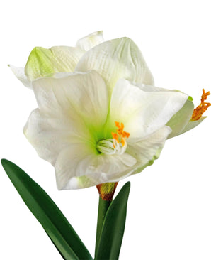 Fleur artificielle Amaryllis blanche 48 cm