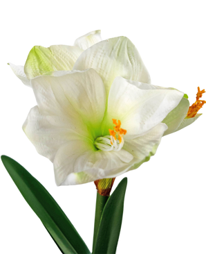 Fleur artificielle Amaryllis blanche 48 cm